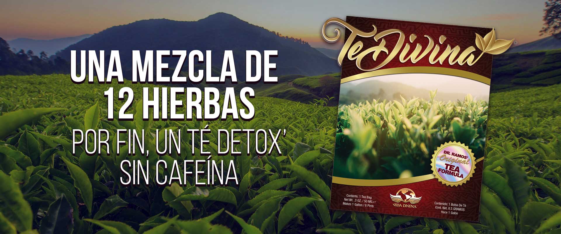 TeDivina